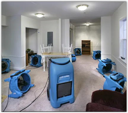 Water Damage Restoration services in Lake Goodwin, WA