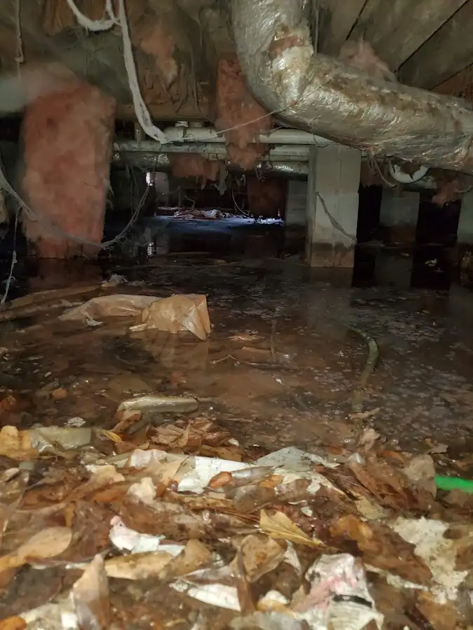Crawl space flood assessment for Leak Detection & Repair in Lake Goodwin